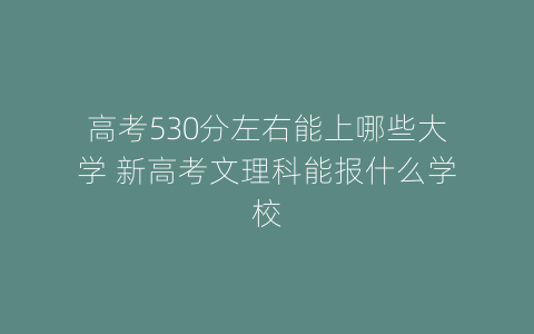 高考530分左右能上哪些大学 新高考文理科能报什么学校