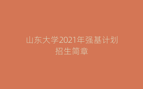 山东大学2021年强基计划招生简章