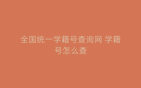 全国统一学籍号查询网 学籍号怎么查