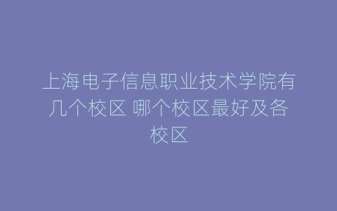 上海电子信息职业技术学院有几个校区 哪个校区最好及各校区