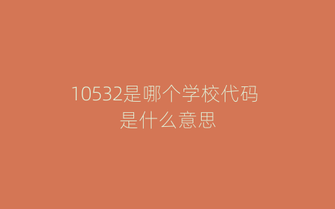 10532是哪个学校代码 是什么意思